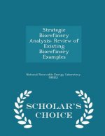 Strategic Biorefinery Analysis