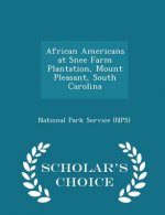 African Americans at Snee Farm Plantation, Mount Pleasant, South Carolina - Scholar's Choice Edition