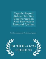 Capsule Report Bahco Flue Gas Desulfurization and Particulate Removal System - Scholar's Choice Edition