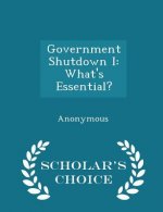 Government Shutdown I
