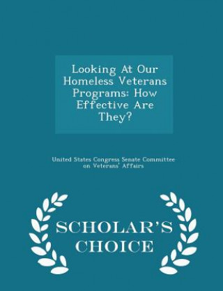 Looking at Our Homeless Veterans Programs