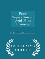 Foam Separation of Acid Mine Drainage - Scholar's Choice Edition