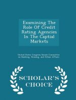Examining the Role of Credit Rating Agencies in the Captial Markets - Scholar's Choice Edition