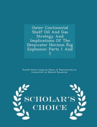 Outer Continental Shelf Oil and Gas Strategy and Implications of the Deepwater Horizon Rig Explosion