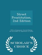 Street Prostitution, 2nd Edition - Scholar's Choice Edition