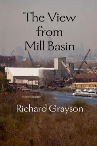 View from Mill Basin
