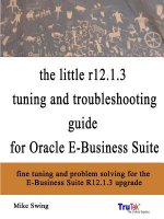 Little R12.1.3 Upgrade Tuning and Troubleshooting Guide for Oracle E-Business Suite