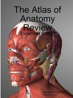 Atlas of Anatomy Review