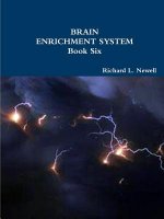 Brain Enrichment System Book Six