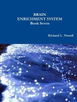 Brain Enrichment System Book Seven