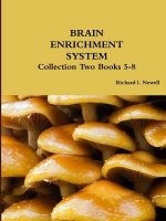 Brain Enrichment System Collection Two Books 5-8