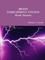 BRAIN ENRICHMENT SYSTEM Book Sixteen