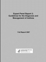 Expert Panel Report 3: Guidelines for the Diagnosis and Management of Asthma - Full Report 2007