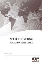 After the Spring: Reforming Arab Armies