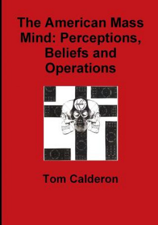 American Mass Mind: Perceptions, Beliefs and Operations