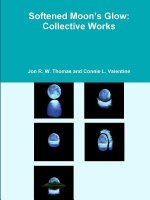 Softened Moon's Glow: Collective Works