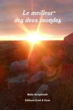 Meilleur Des Deux Mondes
