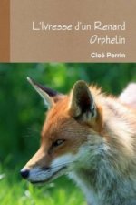 L'Ivresse D'Un Renard Orphelin