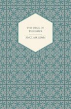 Trail Of The Hawk