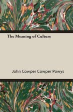 Meaning of Culture