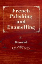 French Polishing and Enamelling