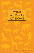 Wild Animals At Home