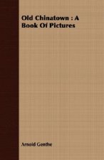 Old Chinatown: A Book of Pictures