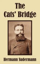 Cats' Bridge