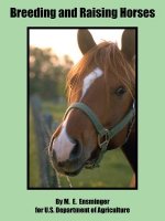 Breeding and Raising Horses