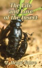 Life and Love of the Insect