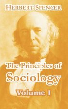 Principles of Sociology (Volume I)
