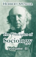 Principles of Sociology, Volume II