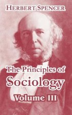 Principles of Sociology, Volume III