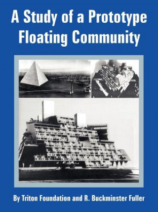 Study of a Prototype Floating Community