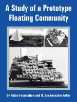 Study of a Prototype Floating Community