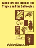Guide for Field Crops in the Tropics and the Subtropics