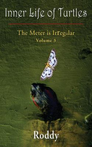 Meter is Irregular, Volume 3 - Inner Life of Turtles