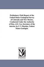 Preliminary Field Report of the United States Geological Survey of Colorado and New Mexico, Conducted Under the Authority of Hon. J.D. Cox, Secretary