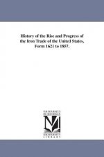 History of the Rise and Progress of the Iron Trade of the United States, Form 1621 to 1857.