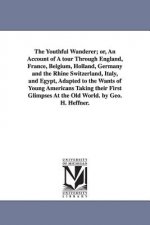 Youthful Wanderer; or, An Account of A tour Through England, France, Belgium, Holland, Germany and the Rhine Switzerland, Italy, and Egypt, Adapted to