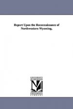 Report Upon the Reconnaissance of Northwestern Wyoming,