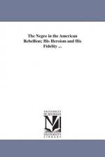 Negro in the American Rebellion; His Heroism and His Fidelity ...