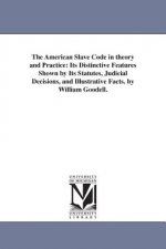 American Slave Code in theory and Practice
