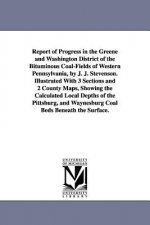 Report of Progress in the Greene and Washington District of the Bituminous Coal-Fields of Western Pennsylvania, by J. J. Stevenson. Illustrated With 3