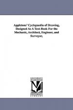 Appletons' Cyclopaedia of Drawing, Designed As A Text-Book For the Mechanic, Architect, Engineer, and Surveyor,