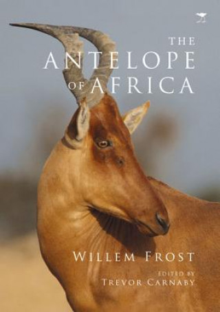 antelope of Africa