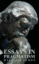 Essays In Pragmatism