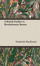 British Fusilier In Revolutionary Boston