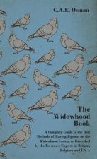 Widowhood Book - A Complete Guide to the Best Methods of Racing Pigeons on the Widowhood System as Described by the Foremost Experts in Britain, Belgi