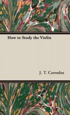 How to Study the Violin